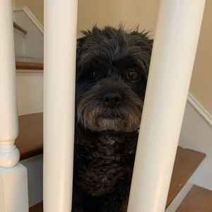 Meet your Posher, Jacqueline